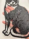 IMG_5008.webp